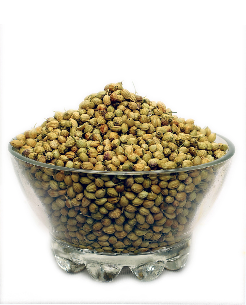 Coriander Powder